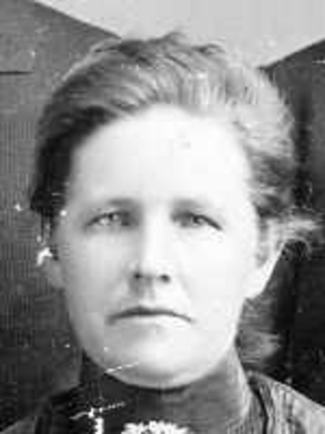 Lena Winkler (1862 - 1931) Profile